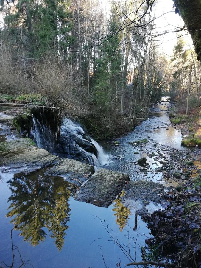 Traumplatz Im Allgaeu Rettenberg Bagian luar foto